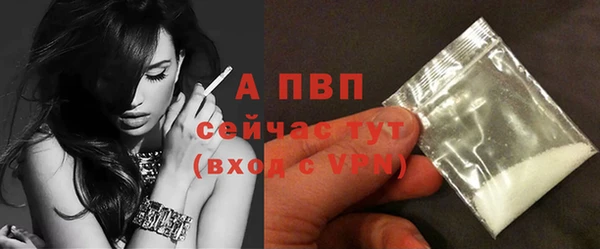 дмт Арсеньев