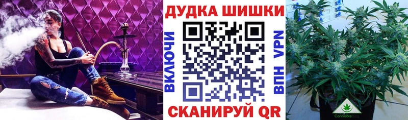 Бошки Шишки SATIVA & INDICA  где найти наркотики  Козьмодемьянск 